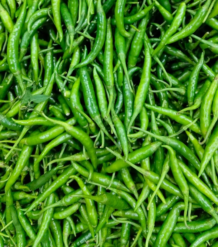 green chilli 